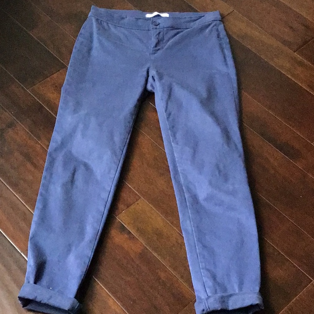Stylish Blue Ankle Pants